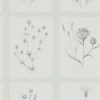 Little Thistles 216512